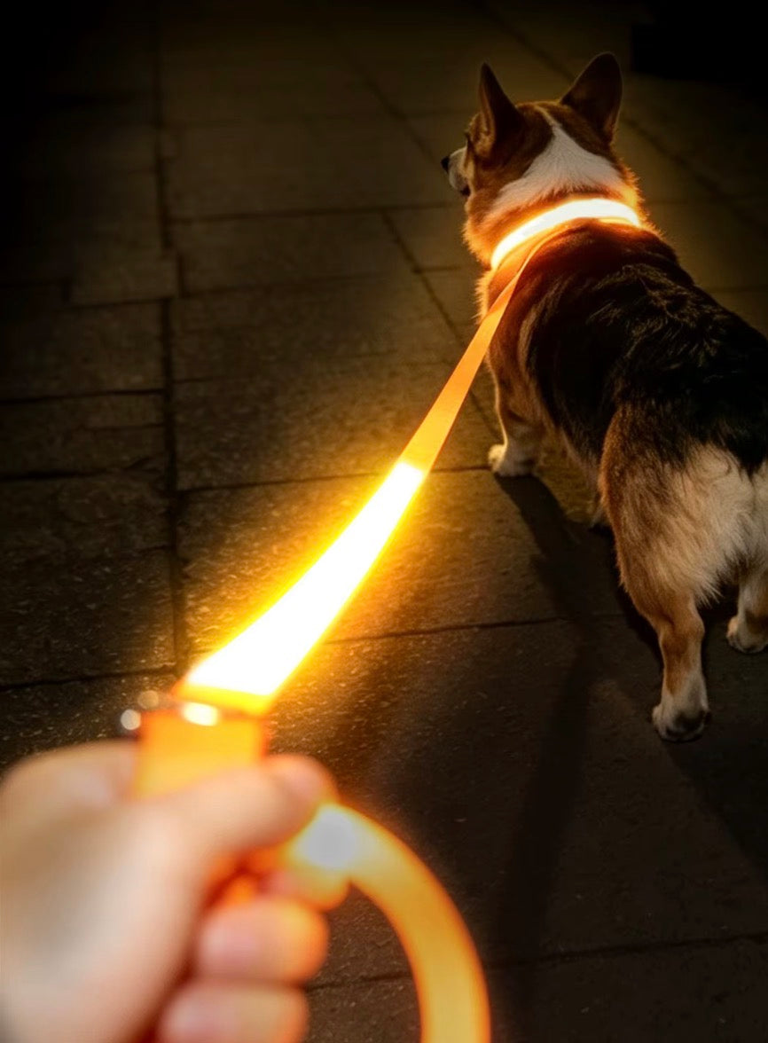 Correa con Luz LED Recargable para Mascota
